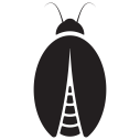 ROACH账户